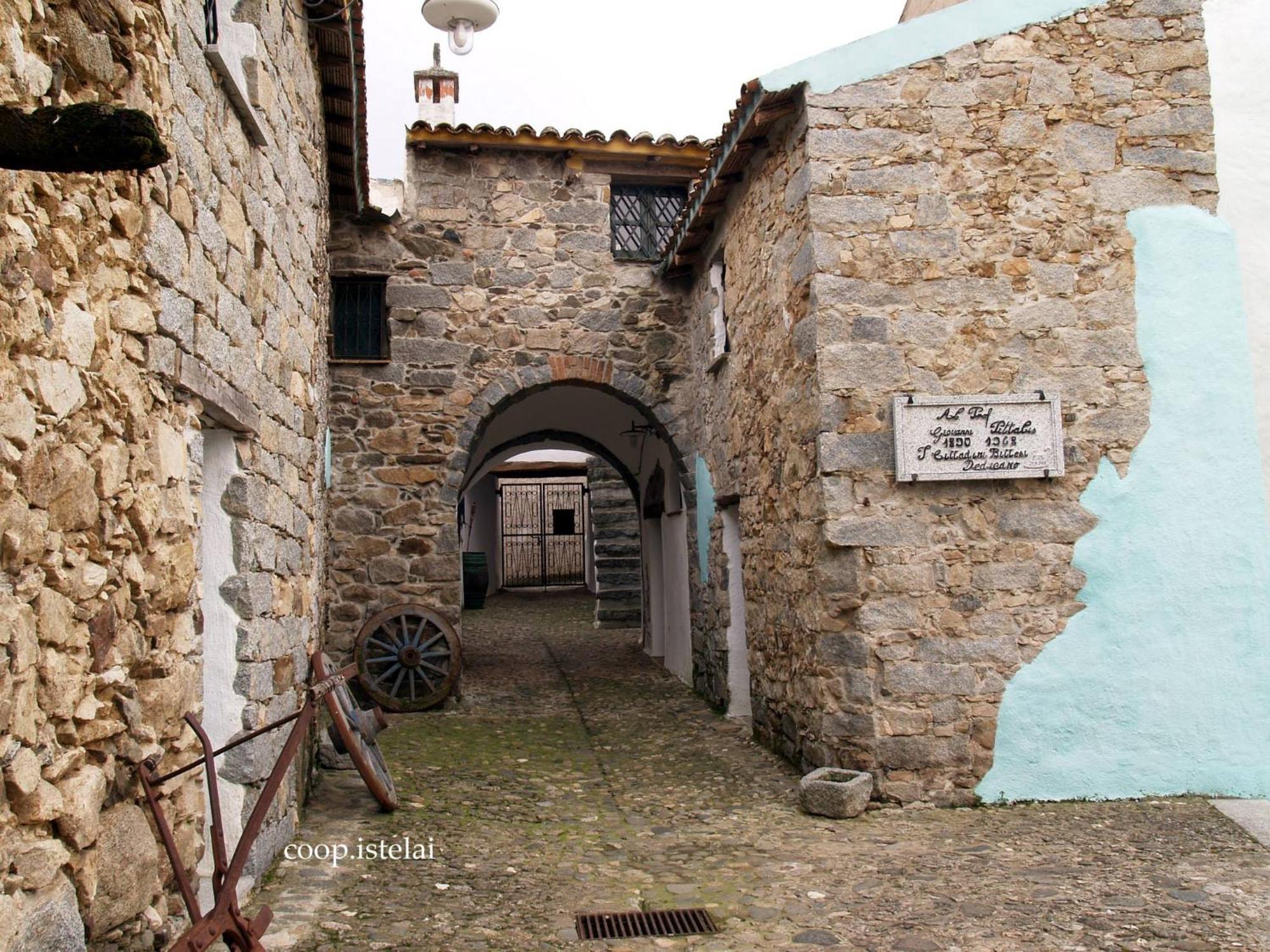 B&B Sa Zodia Guest House Bitti Zewnętrze zdjęcie
